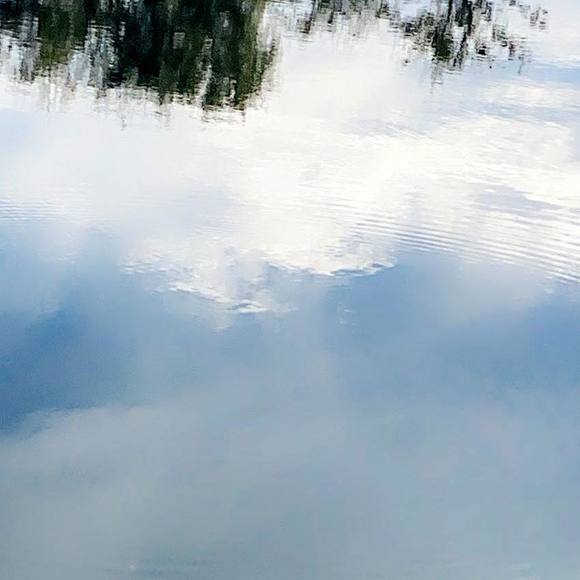 Meet your Posher, Kay - Picture 1 of 1